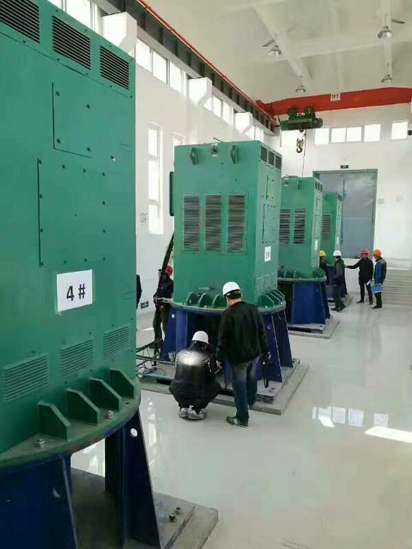 YKK4001-6/185KW某污水处理厂使用我厂的立式高压电机安装现场