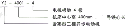 YR系列(H355-1000)高压YKK4001-6/185KW三相异步电机西安西玛电机型号说明